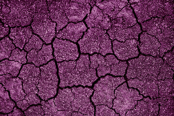 Dry cracked earth. Cracked soil texture. Land with dry and cracked ground. Background