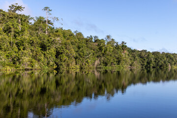Fototapeta na wymiar Landscape with the forest reflecting in the river in the brazilian Amazon region near Marajo island.