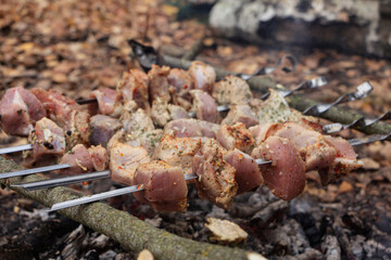 Kebab seasoned with spices grilling, outdoor picnic