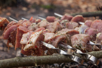 Kebab seasoned with spices grilling, outdoor picnic