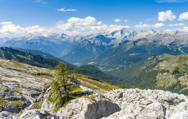 Fototapeta na wymiar View over Val Rendena towards Adamello group. The Brenta Dolomites, UNESCO World Heritage Site. Italy, Trentino, Val Rendena