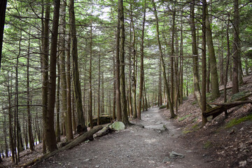 Bash Bish Falls - Hudson, NY
