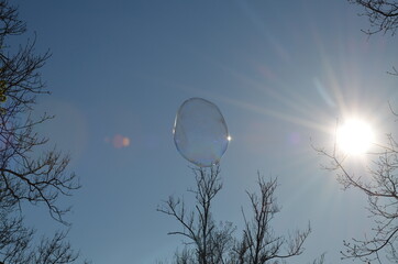 bubbles in the sky
