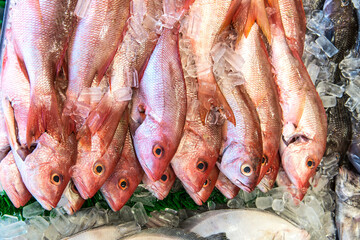 red snapper on the counter of a seafood store