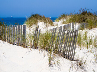 Portugal, Costa Nova. Beach grass, sand and old fence line at the beach resort of Costa Nova near Aveiro.