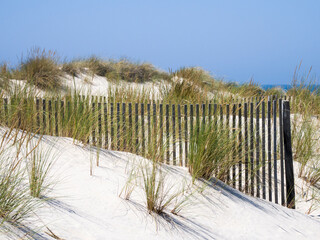 Portugal, Costa Nova. Beach grass, sand and old fence line at the beach resort of Costa Nova near Aveiro.