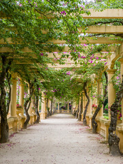 Portugal, Aveiro. Parque Dom Pedro Infante in Aveiro. Stone balustrade with pergola and columns.
