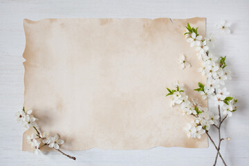 Blossoming branches of cherry plum and old paper for text on a white wooden background, postcard for congratulations.