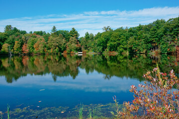 Obraz na płótnie Canvas Tranquil lake and reflections