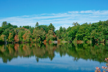 Tranquil lake and reflections
