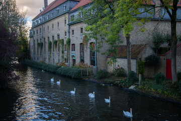 begijnhof courtyyard in bruges belgium