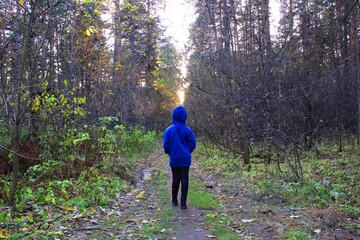 Fototapeta premium A girl walks alone while walking through the forest on an autumn day. Loneliness and melancholy. A young girl in a blue sweater with a hood walks along a path among the trees in the forest with her