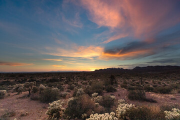 Beautiful shot of a natural landscape with cacti near the Arizona Superstition Mountains at sunset