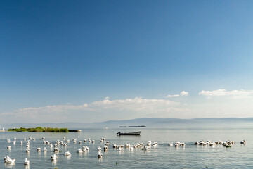 Lake Chapala, Mexico