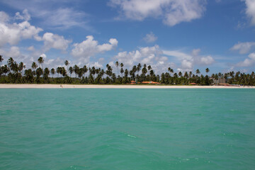 Maragogi Beach in Maceio, Alagoas. Green waters and coconut trees