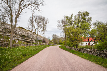 Sweden, Gotland Island, Sundre, country road, southern Gotland