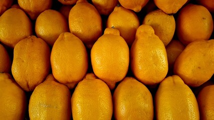 fresh orange fruits