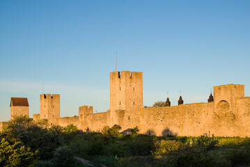 Fototapeta na wymiar Sweden, Gotland Island, Visby, 12th century city wall, most complete medieval city wall in Europe, dawn