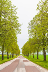 Sweden, Lake Vattern Area, country road, springtime