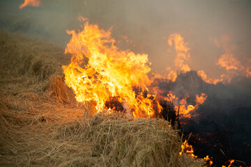 Fire and smoke in the fields, open fields, where farmers burn to destroy grass and dry paddy fields. This creates a bad environment for the general climate.