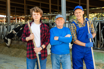 Successful elderly dairy farm owner with son and teen grandson posing together while working in...