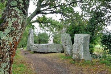 Les grands menhirs près des alignements d'Erdeven . Morbihan Bretagne France