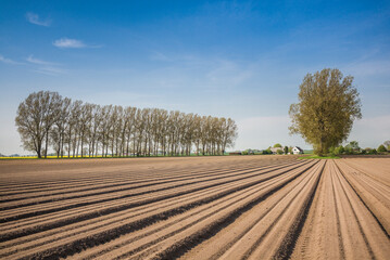 Southern Sweden, Kaseberga, plowed field, springtime