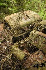 Sweden, Smaland, Ryd, Kyrko Mosse Car Cemetery, former junkyard now pubic park, junked cars