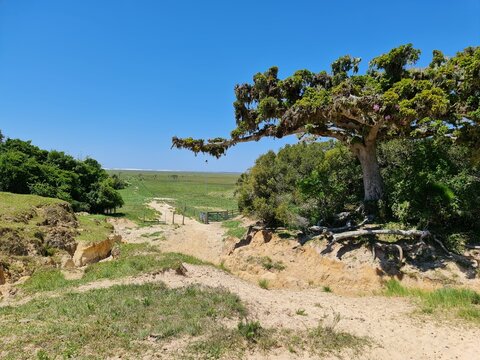 estrada &aacute;rida, seca, deserto, catinga