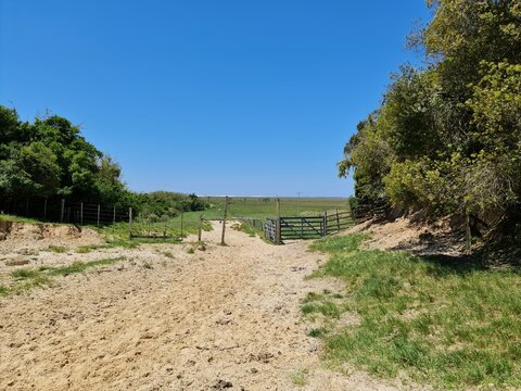 estrada &aacute;rida, seca, deserto, catinga