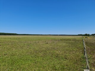 fazenda para pecuária