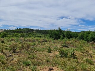 fazenda para pecuária