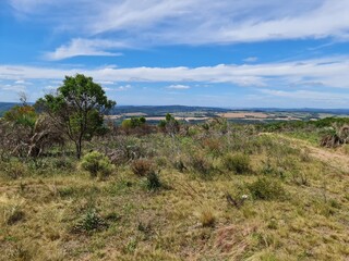 catinga, solo árido, mato queimado, seca, estiagem