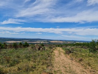 catinga, solo árido, mato queimado, seca, estiagem