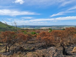 catinga, solo &aacute;rido, mato queimado, seca, estiagem