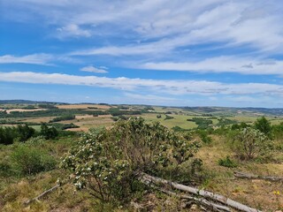 Obraz premium pecuária, fazenda, pasto, agronegócio
