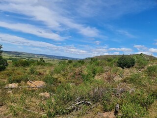 pecuária, fazenda, pasto, agronegócio