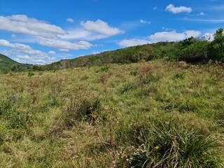 fazenda para pecuária