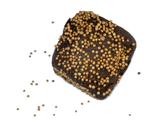 Black bread sprinkled with coriander.  Flour product. Bread with spices on white background