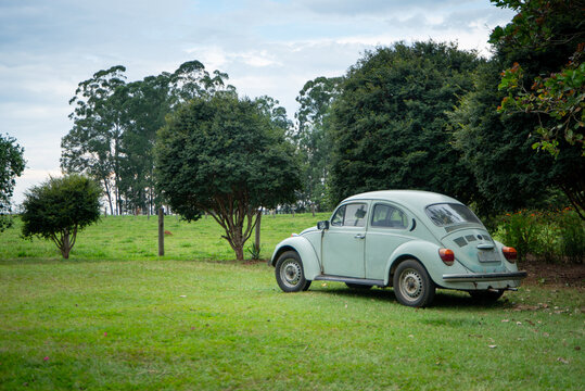 paisagem do campo com um Fusca Volkswagen verde oliva e &aacute;rvores 