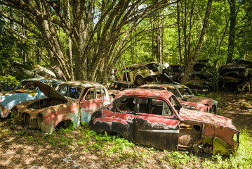Sweden, Varmland, Bastnas, Bastnas Car Cemetery public park, antique car junkyard