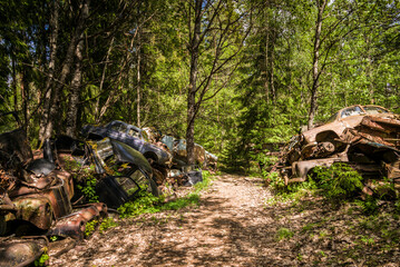 Sweden, Varmland, Bastnas, Bastnas Car Cemetery public park, antique car junkyard