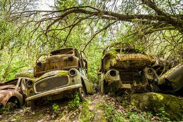 Sweden, Varmland, Bastnas, Bastnas Car Cemetery public park, antique car junkyard