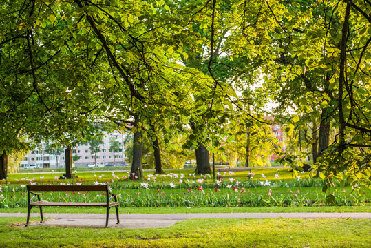 Sweden, Varmland, Karlstad, Sandgrunds park, springtime