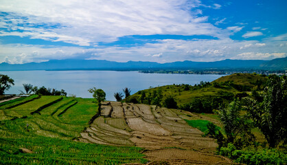 Landscape rice filed terrace, north Sumatra
