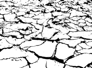The texture of cracks. Cracked dry earth. Black and white vector illustration.