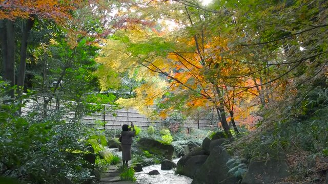 Woman taking photo with phone in the beautiful autumn leaves garden