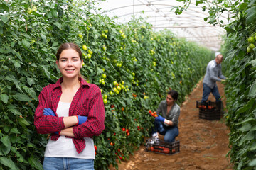 Team of young people works on a tomatoe plantation