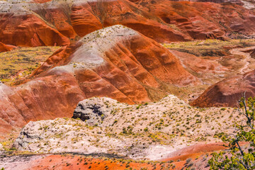 Tawa Point, Painted Desert, Petrified Forest National Park, Arizona