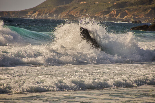 Garapata Beach, Carmel by the Sea, California.